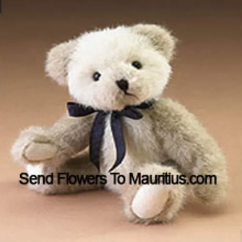 Schattige witte 6 inch teddybeer