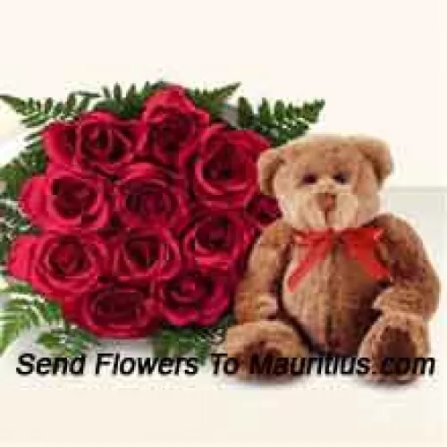 Mazzo di 12 rose rosse con un adorabile orsacchiotto marrone di 8 pollici