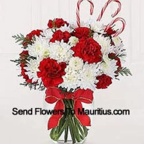 Sweeten their Christmas with a bounty of blooms and festive candy canes! A darling bouquet of red carnations and white chrysanthemums are accented with peppermint candy canes for a holiday presentation that is sure to make their holiday warm and bright. A memorable way to be a part of their holiday festivities! (Please Note That We Reserve The Right To Substitute Any Product With A Suitable Product Of Equal Value In Case Of Non-Availability Of A Certain Product)